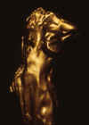idoltorsodetail.jpg (24862 bytes)