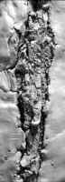 recessedwoman.jpg (31729 bytes)