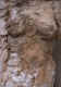 torsoofawomandetail.jpg (58733 bytes)