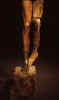 unfinishedmandetaillegs.jpg (32804 bytes)